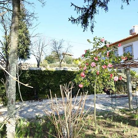 Quinta De Vila Verde- Paixao Ancestral, Turismo Rural Марку-ди-Канавезиш Экстерьер фото